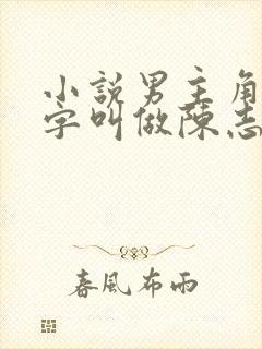 小说男主角的名字叫做陈志远