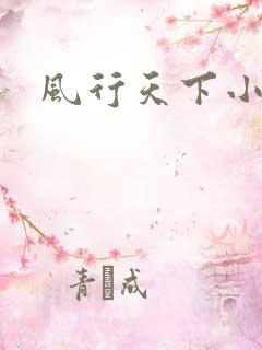 风行天下小说