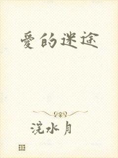 爱的迷途