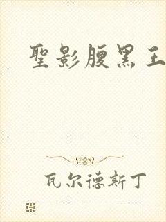 圣影腹黑王子帮