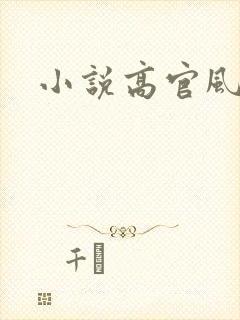 小说高官风流