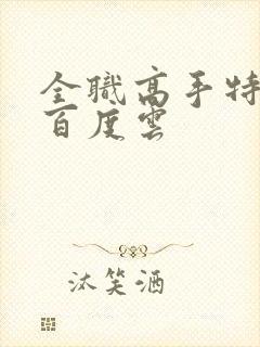 全职高手特别篇百度云