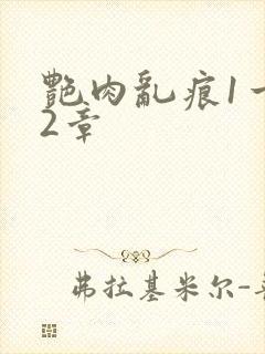 艳肉乱痕1一12章