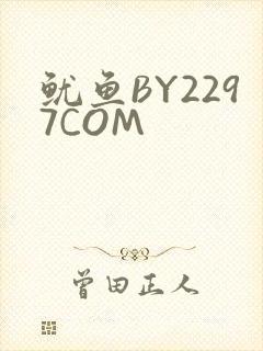 鱿鱼BY2297COM