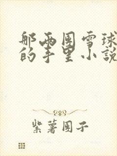 那两团雪球在他的手里小说