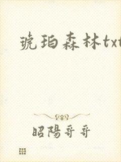 琥珀森林txt