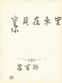 宝贝在车里想要你