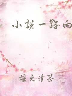小说一路向西