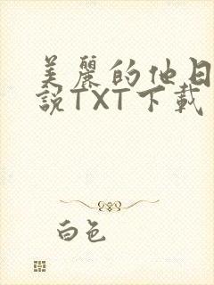 美丽的他日剧小说TXT下载