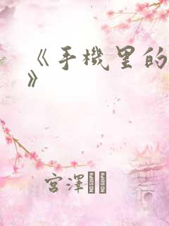 《手机里的秘密》