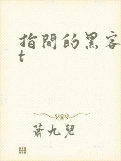 指间的黑客txt