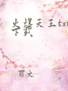 火爆天王txt下载