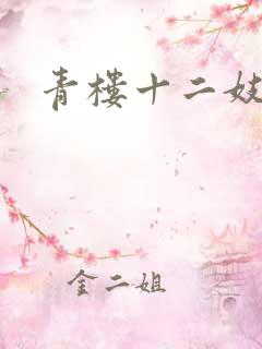 青楼十二妓