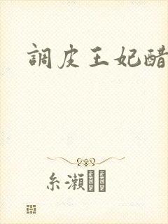 调皮王妃醋王爷