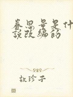 眷思量是什么小说改编的