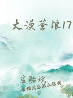 大漠苍狼17