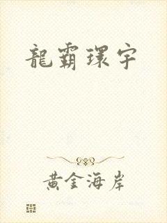龙霸环宇