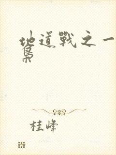 地道战之一代功枭