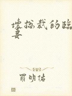 坏总裁的临时娇妻