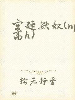 宫廷欲奴(np高h)