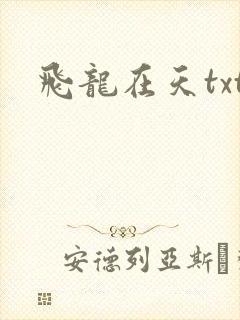 飞龙在天txt