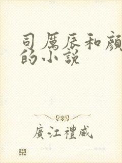 司厉辰和颜辞兮的小说