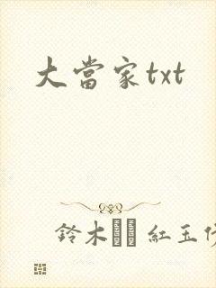 大当家txt