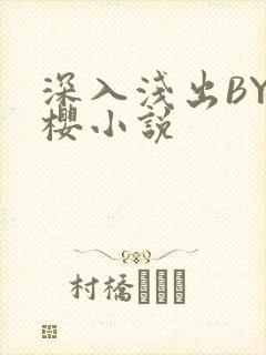 深入浅出BY胖樱小说
