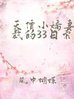 天价小娇妻,总裁的33日索情全文免费