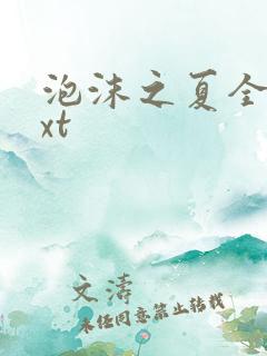 泡沫之夏全集txt
