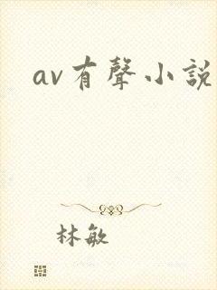 av有声小说
