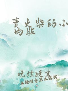 卖火柴的小男孩 肉版