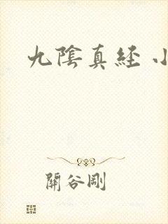九阴真经 小说