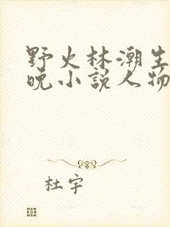 野火林潮生林晚晚小说人物野火
