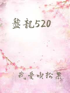 盘龙520