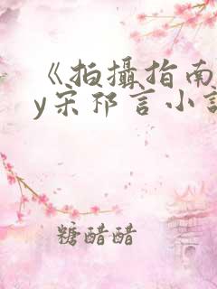 《拍摄指南》by宋祁言小说