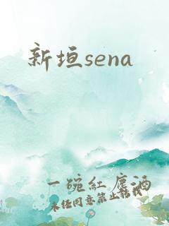 新垣sena