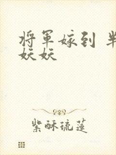 将军嫁到 半袖妖妖