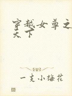 穿越女尊之纯倾天下