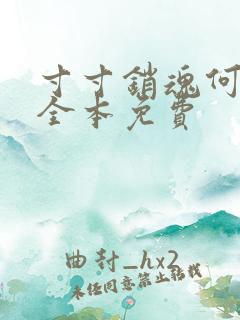 寸寸销魂何生祥全本免费