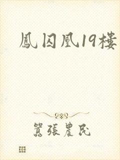 凤囚凰19楼