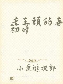 老王头的春天林初晴