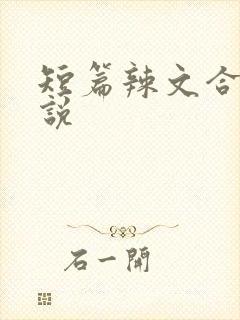 短篇辣文合集小说