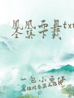 凤凰面具txt全集下载