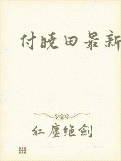 付晓田最新消息