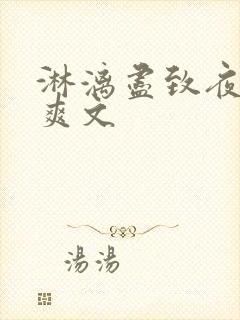 淋漓尽致夜晚小爽文