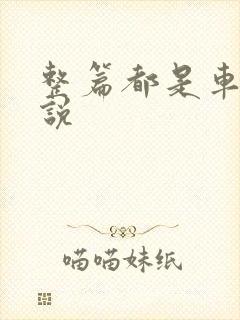 整篇都是车的小说