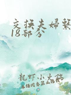 交换夫妇系列第18部分