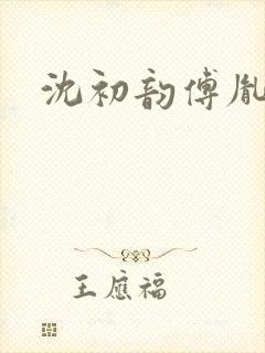 沈初韵傅胤小说