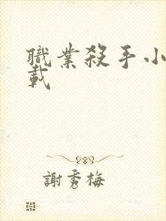 职业杀手小说下载